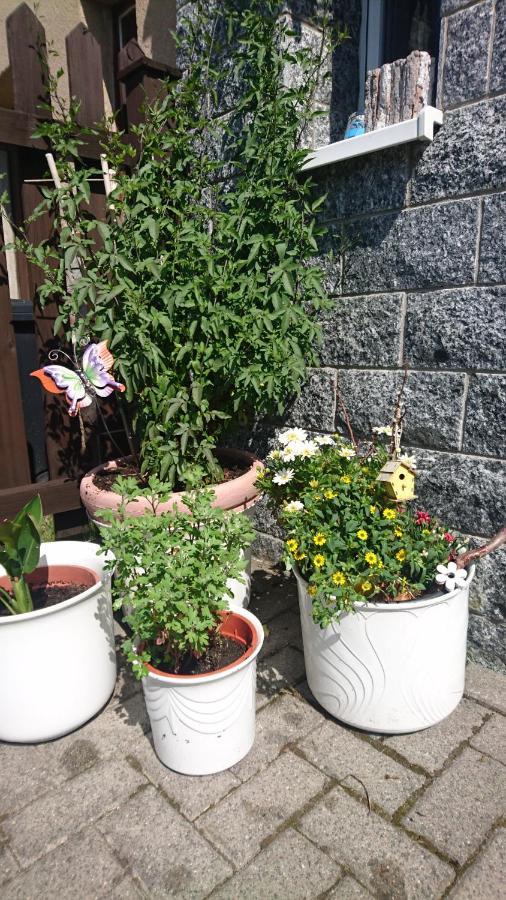 Ferienwohnung Mit Garten Und Spielplatz Klingenthal Ngoại thất bức ảnh