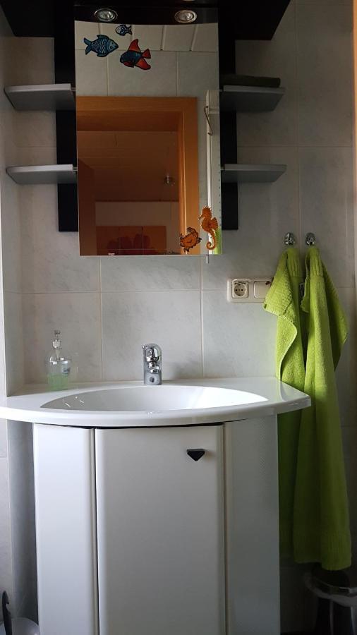 Ferienwohnung Mit Garten Und Spielplatz Klingenthal Ngoại thất bức ảnh